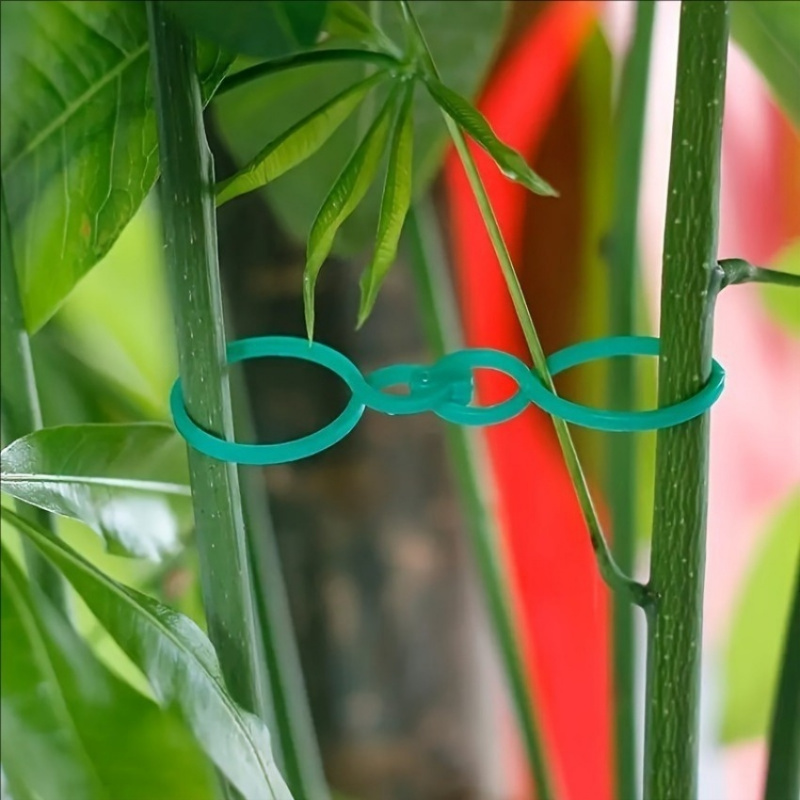 Kit di supporto per piante da  - Plant Parent Kit recensione e prezzo