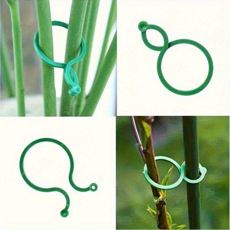 Kit di supporto per piante da  - Plant Parent Kit recensione e prezzo