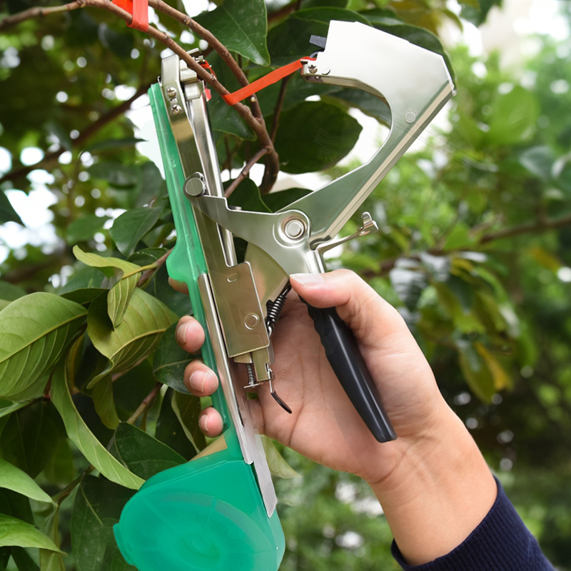 Macchina Legatrice Manuale per - Plant Parent Kit recensione e prezzo