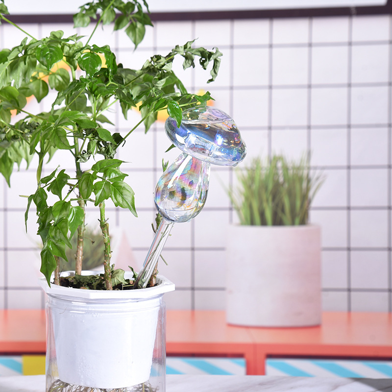 1/2PCS Paglia di vetro Automat - Plant Parent Kit recensione e prezzo