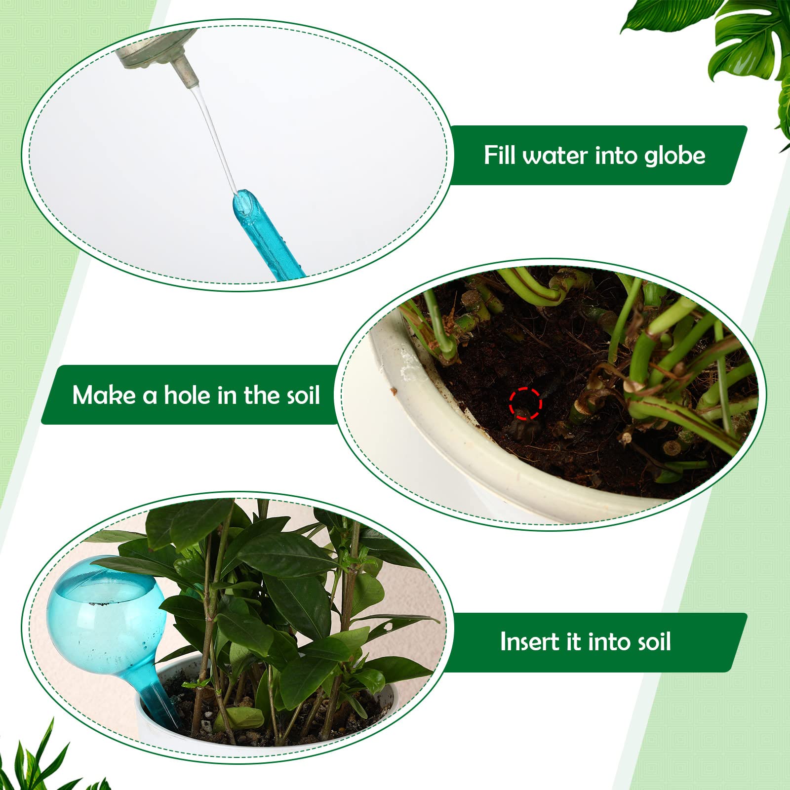 Alimentatore d'acqua per piant - Plant Parent Kit recensione e prezzo