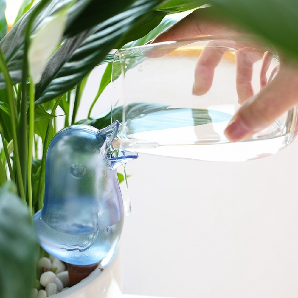 Dispositivo di irrigazione aut - Plant Parent recensione e prezzo