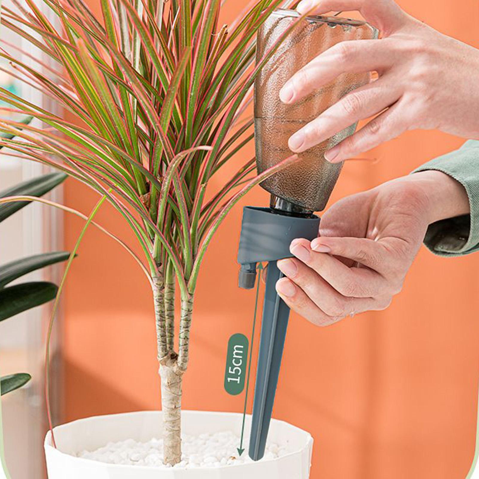 Set di 6 Irrigatori Automatici - Plant Parent Kit recensione e prezzo
