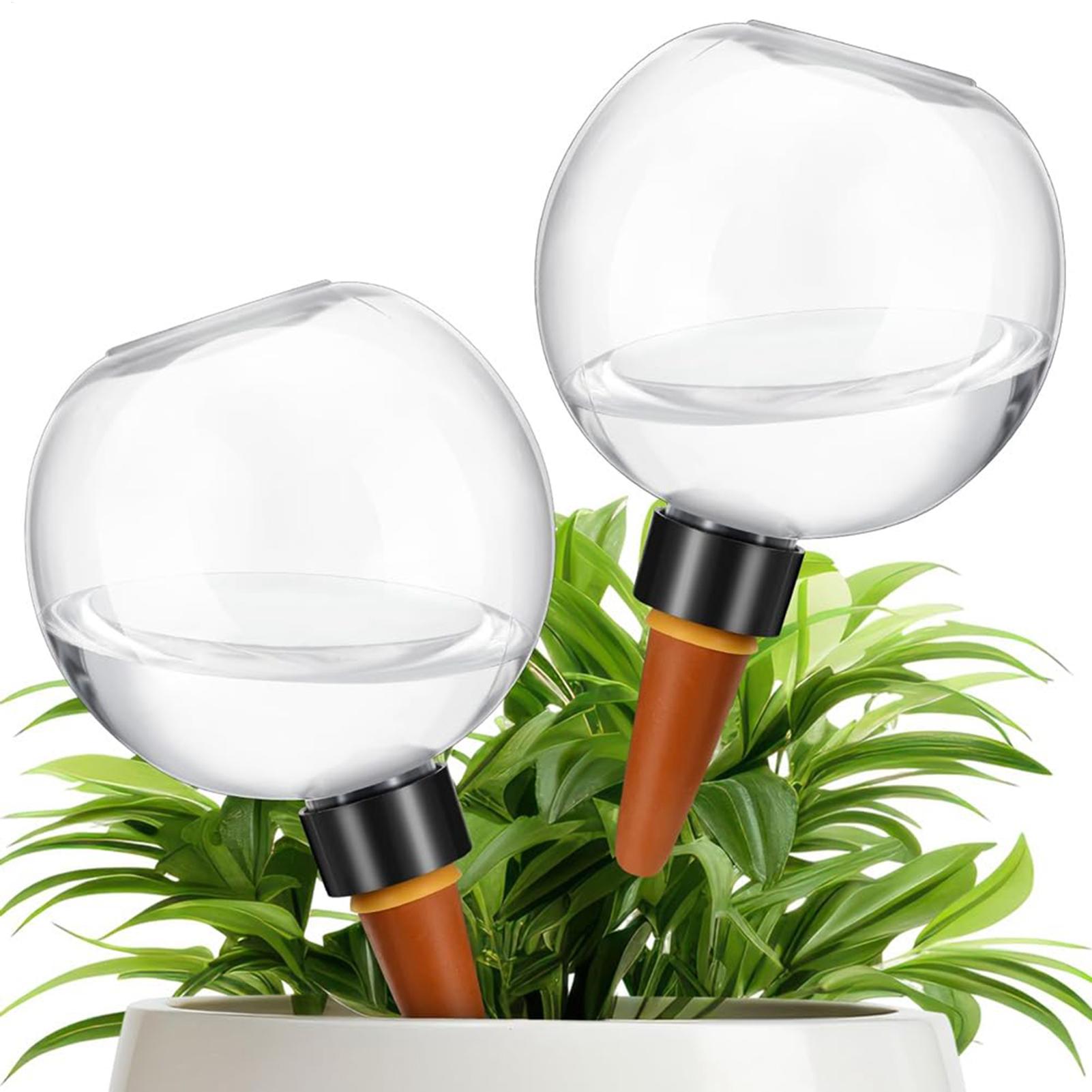 Lampadine per irrigazione auto - Plant Parent recensione e prezzo