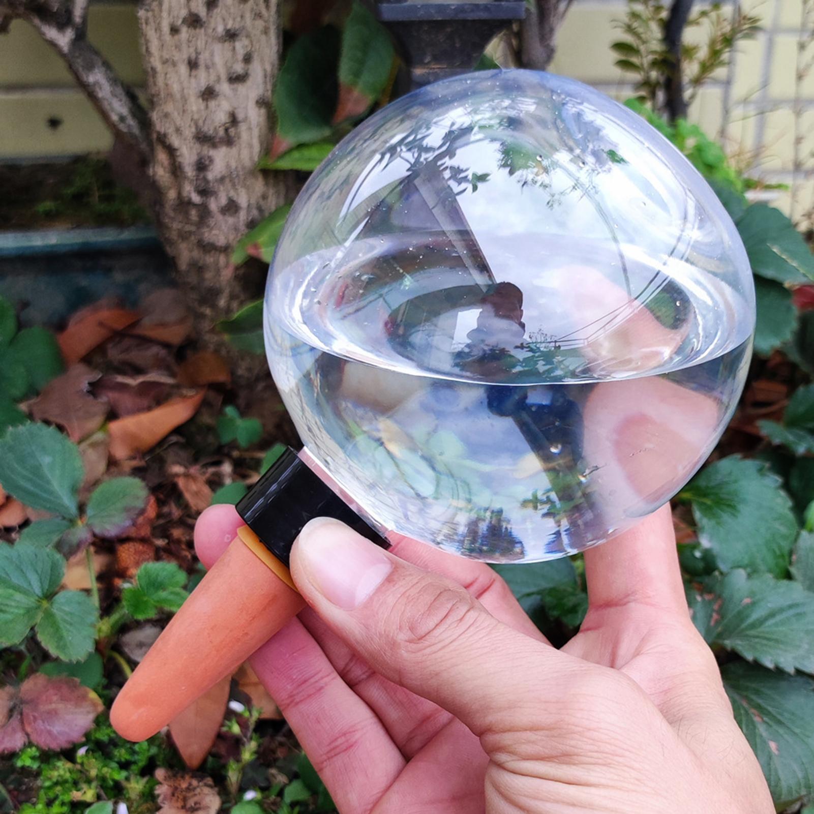Lampadine per irrigazione auto - Plant Parent recensione e prezzo
