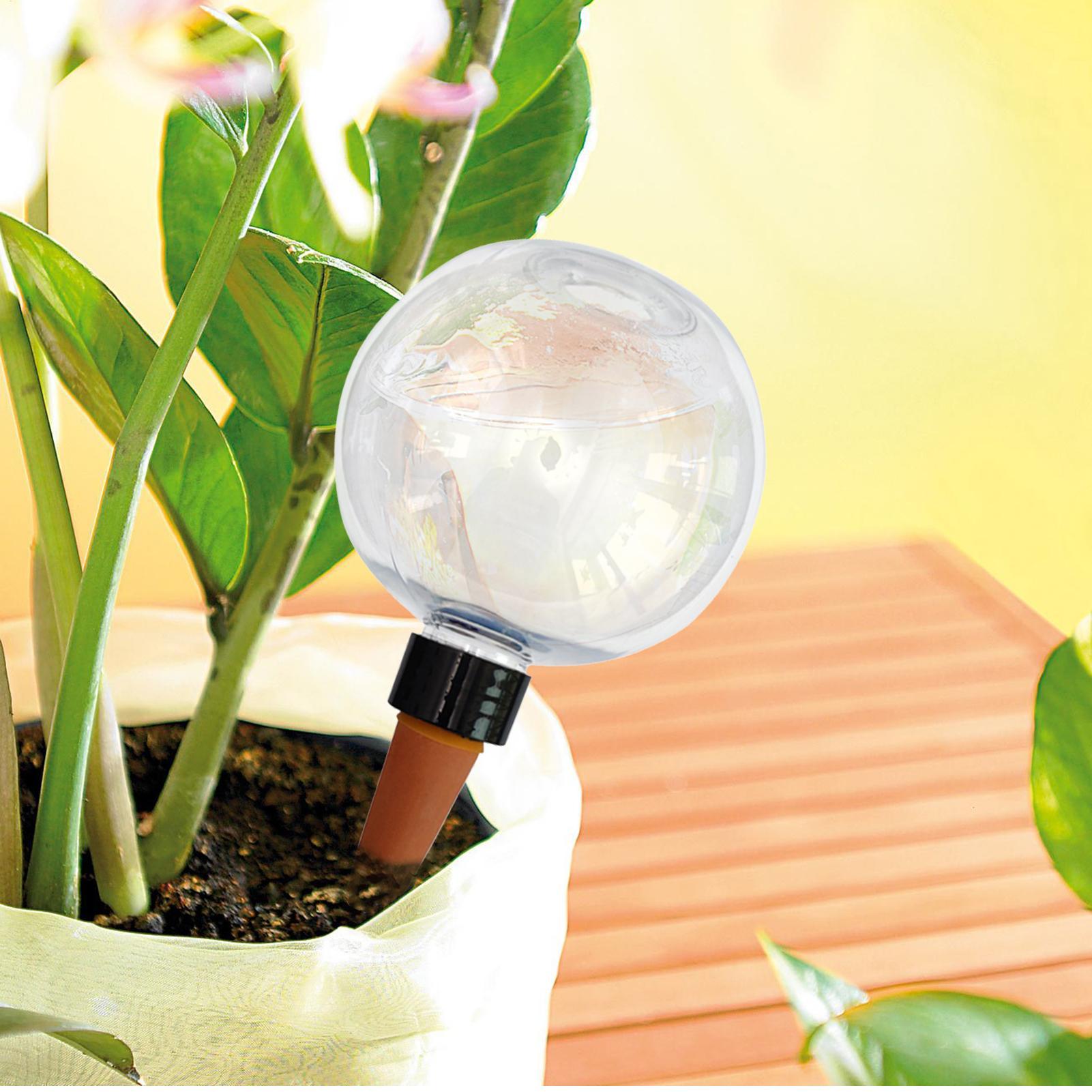 Lampadine per irrigazione auto - Plant Parent recensione e prezzo