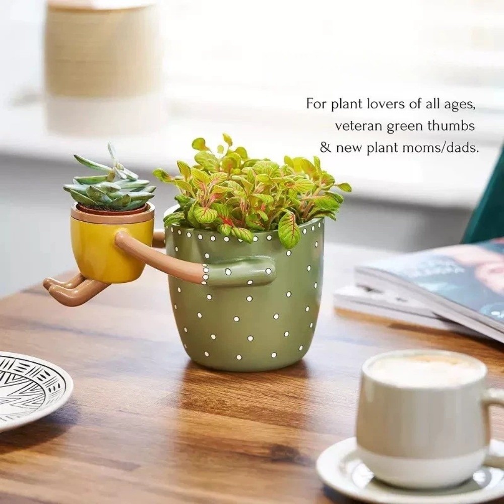 Vaso per Piante Succulente Dec - Plant Parent Free recensione e prezzo
